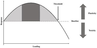 Antifragility in Climbing: Determining Optimal Stress Loads for Athletic Performance Training